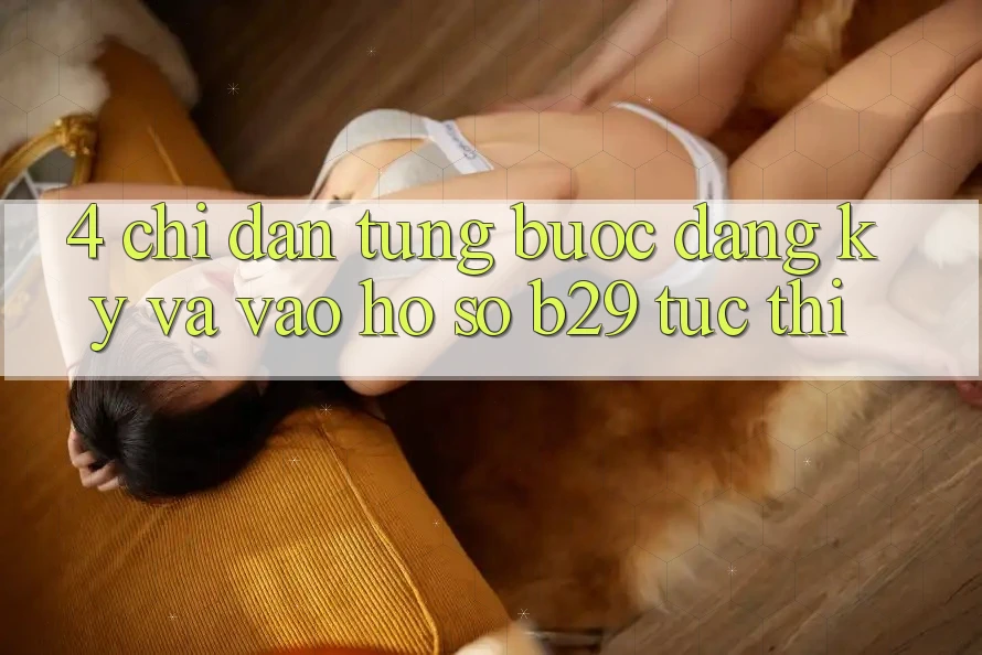 4. Chỉ dẫn Từng Bước Đăng Ký Và Vào hồ sơ B29 Tức thì