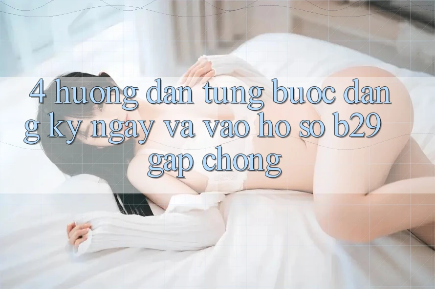 4. Hướng Dẫn Từng Bước Đăng ký ngay Và Vào hồ sơ B29 Gấp Chóng