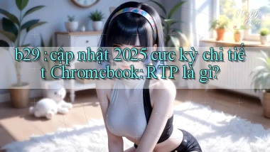 b29 cập nhật 2025 cực kỳ chi tiết Chromebook RTP là gì