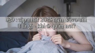 b29 cập nhật 2025 trên Vivo unit là gì   khi ở quán net
