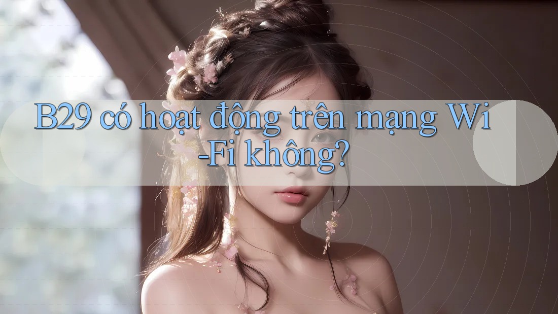 B29 có hoạt động trên mạng Wi-Fi không?