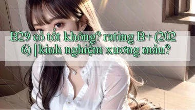 B29 có tốt không rating B  (2026) kinh nghiệm xương máu