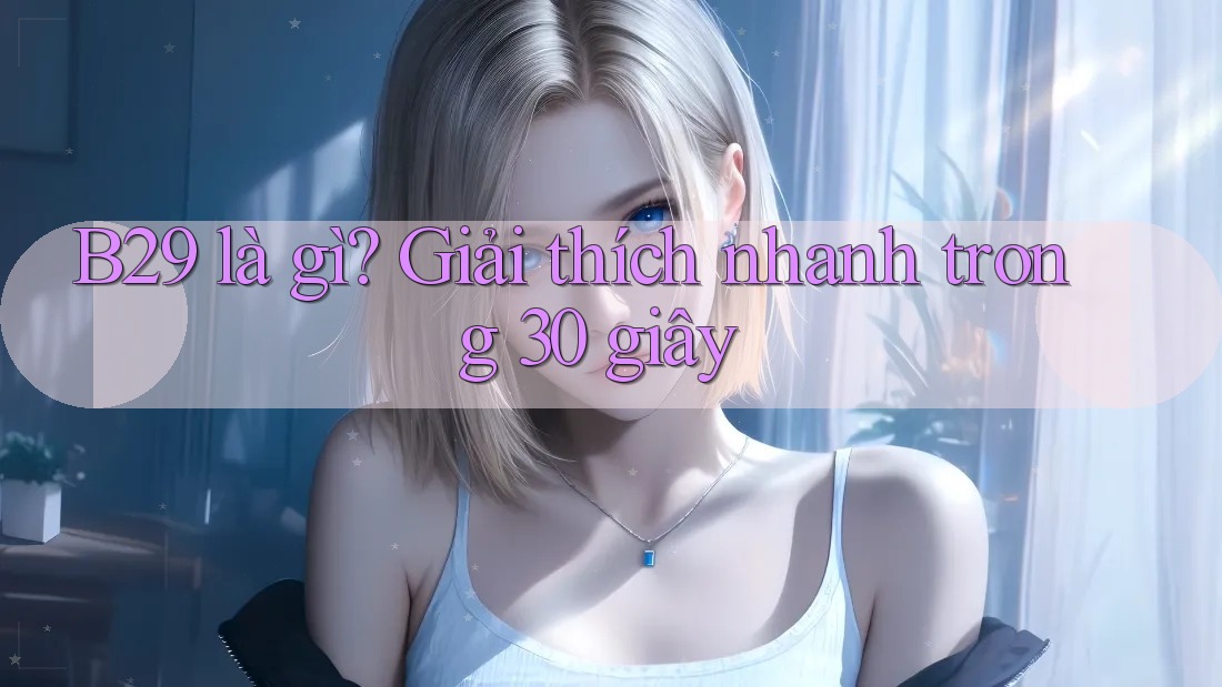B29 là gì? Giải thích nhanh trong 30 giây