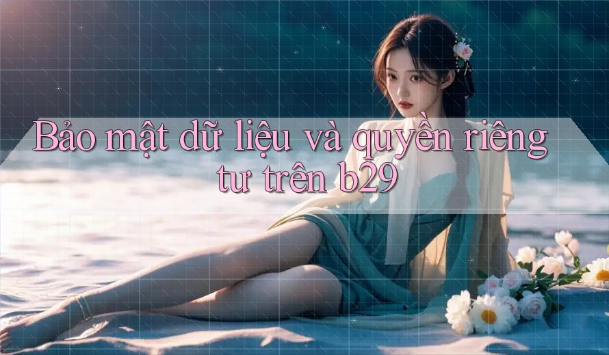 Bảo mật dữ liệu và quyền riêng tư trên b29 Bảo mật dữ liệu và quyền riêng tư trên b29