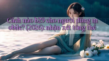 Cách nào b29 cho người dùng mobile (2026) nhận xét tổng thể
