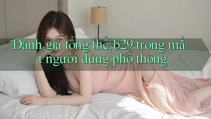 Đánh giá tổng thể: b29 trong mắt người dùng phổ thông
