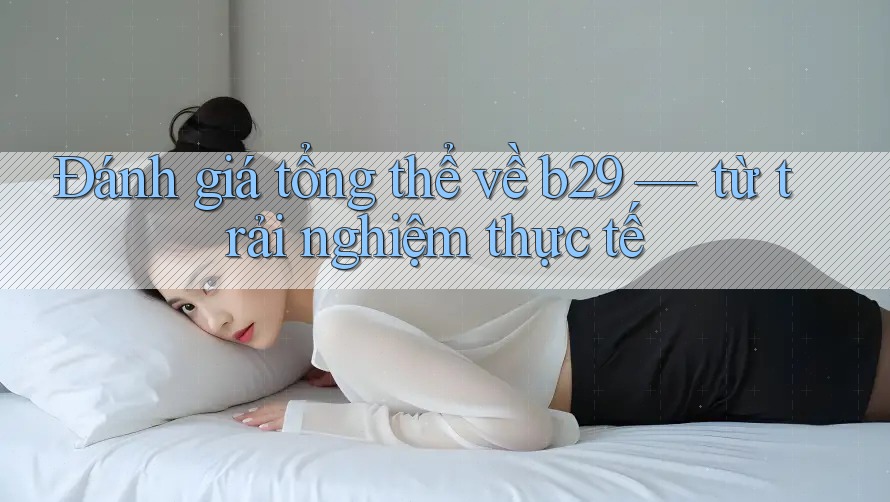 Đánh giá tổng thể về b29 — từ trải nghiệm thực tế