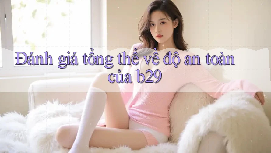 Đánh giá tổng thể về độ an toàn của b29 Đánh giá tổng thể về độ an toàn của b29
