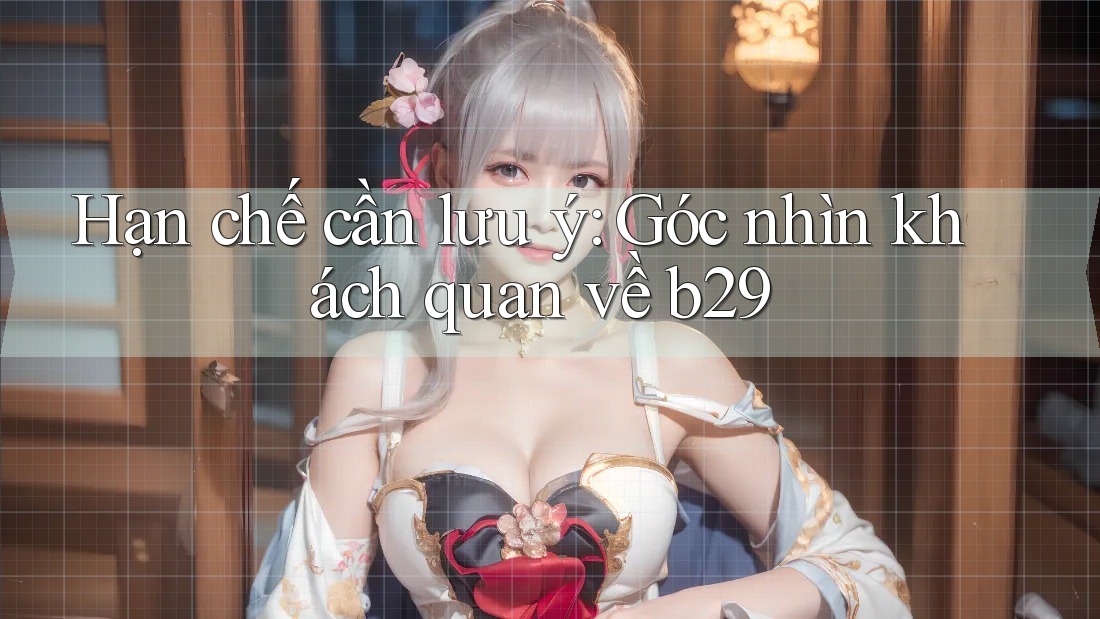 Hạn chế cần lưu ý: Góc nhìn khách quan về b29