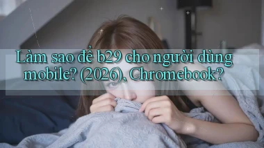 Làm sao để b29 cho người dùng mobile (2026), Chromebook