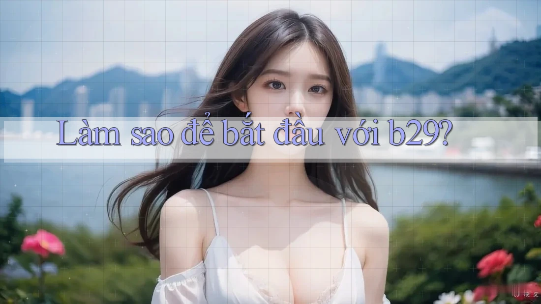 Làm sao để bắt đầu với b29? Làm sao để bắt đầu với b29?