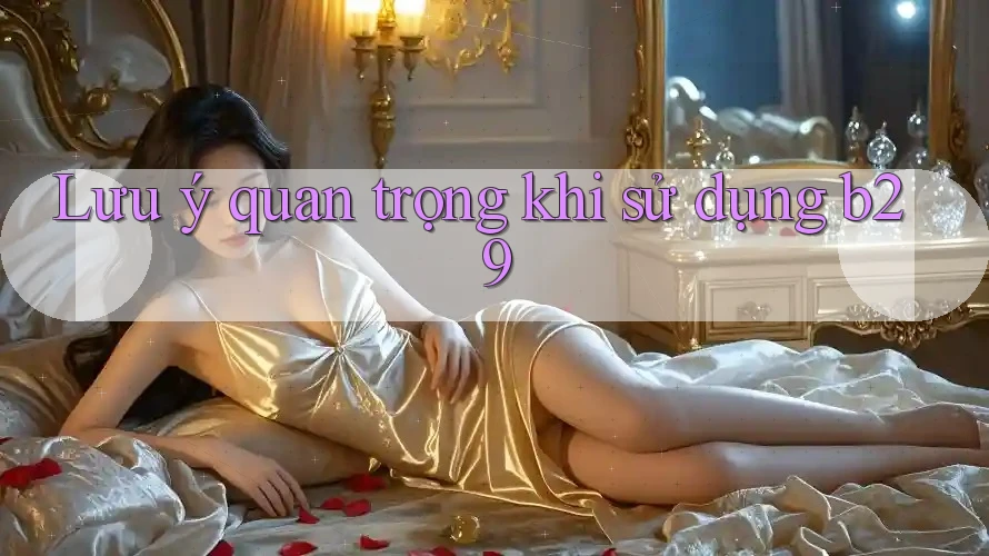 Lưu ý quan trọng khi sử dụng b29