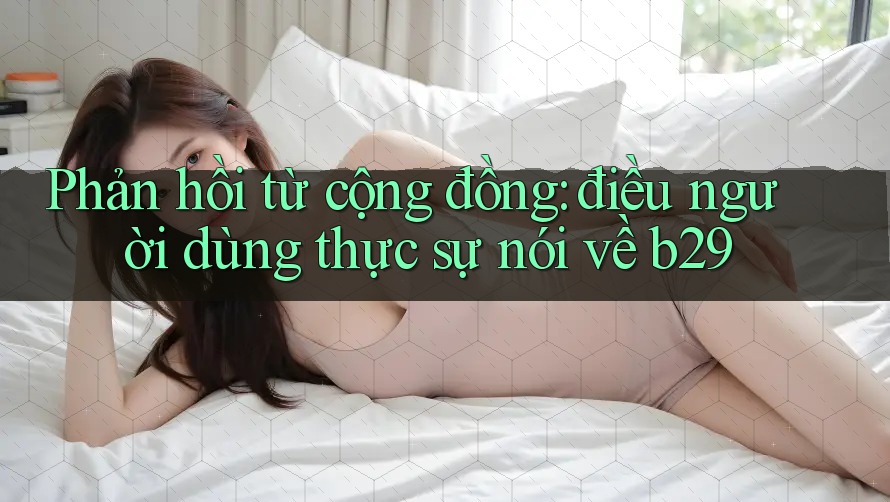 Phản hồi từ cộng đồng: điều người dùng thực sự nói về b29