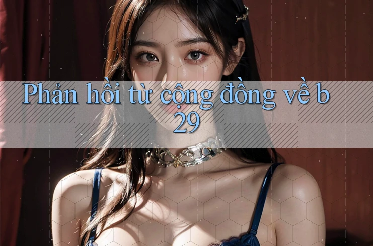 Phản hồi từ cộng đồng về b29 Phản hồi từ cộng đồng về b29