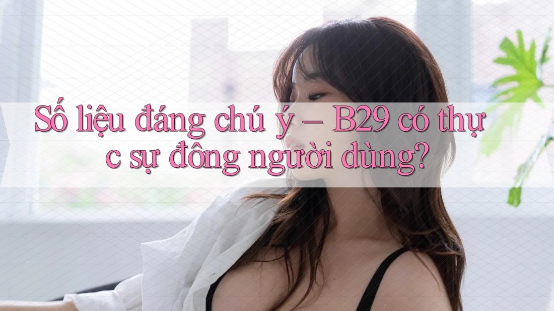 Số liệu đáng chú ý – B29 có thực sự đông người dùng? Số liệu đáng chú ý – B29 có thực sự đông người dùng?