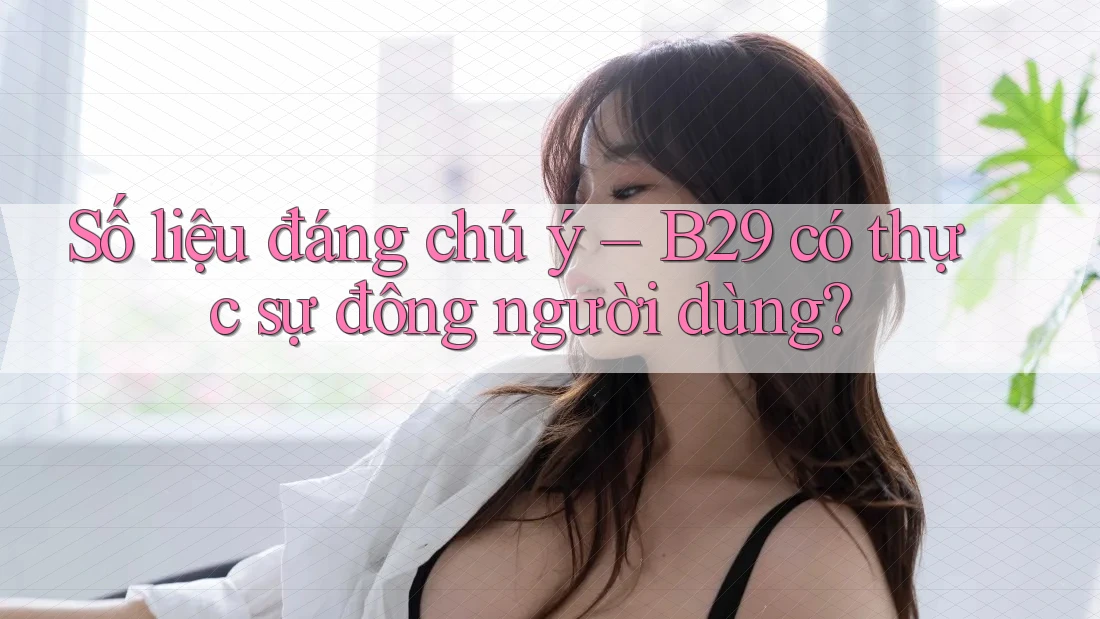 Số liệu đáng chú ý – B29 có thực sự đông người dùng?