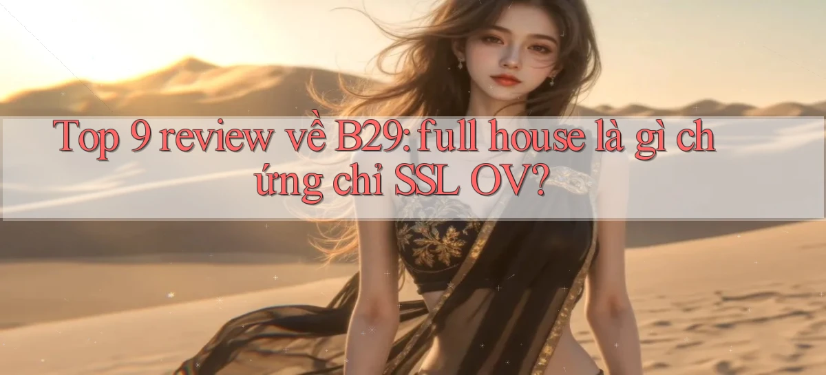 Top 9 review về B29 full house là gì chứng chỉ SSL OV