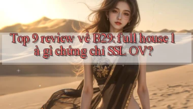 Top 9 review về B29 full house là gì chứng chỉ SSL OV